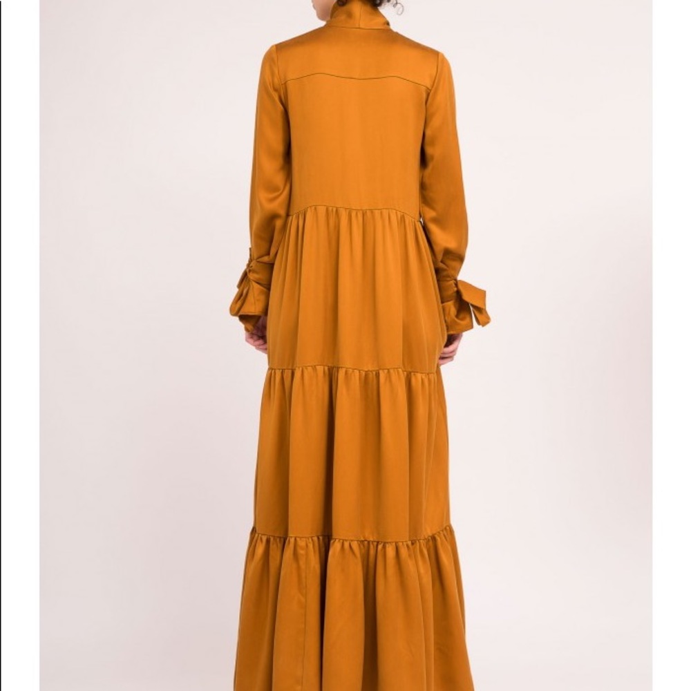Elegant Long-Sleeve Maxi Dress with Tie Neck in Burnt Orange - Picture 3 of 4